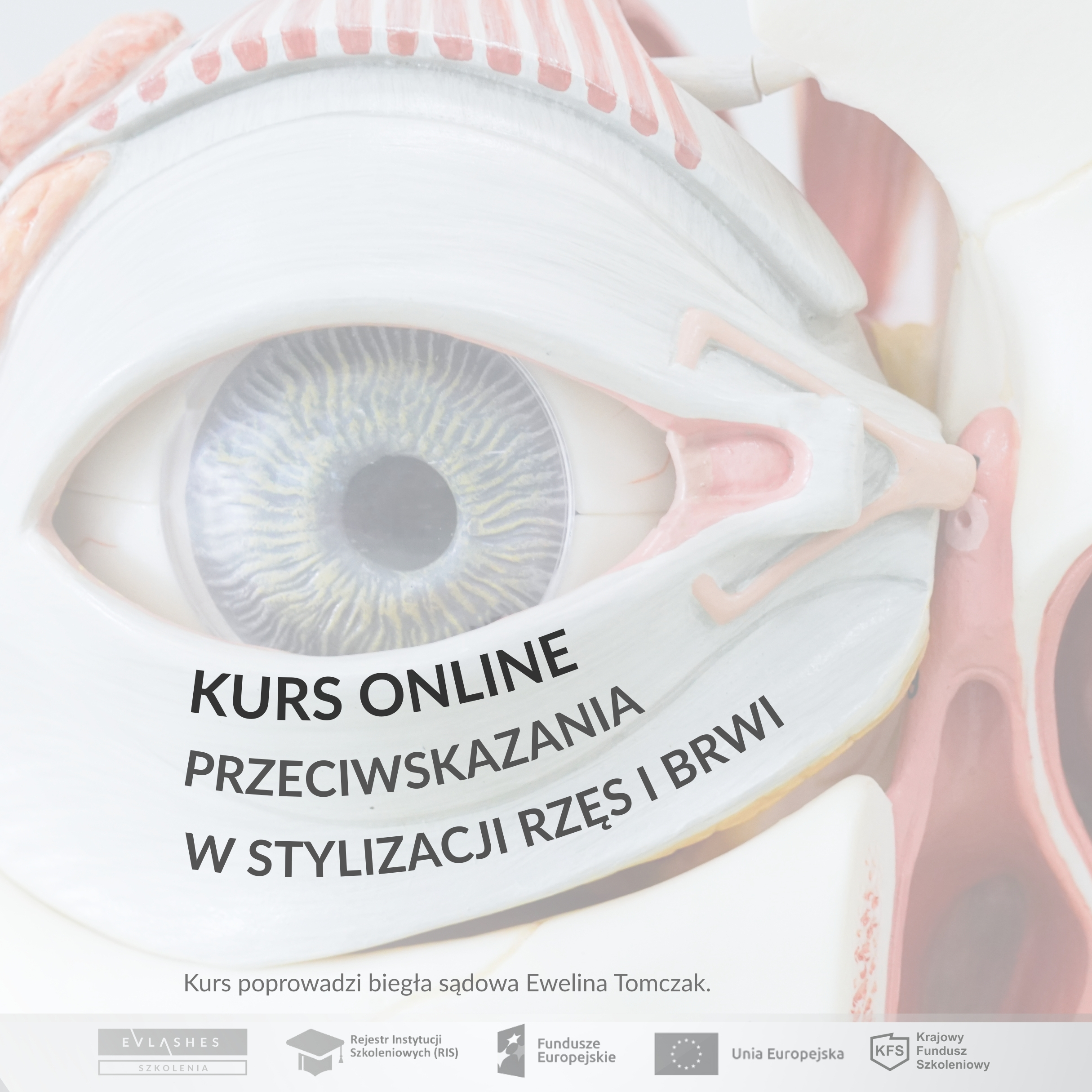 Kurs online przeciwskazania w stylizacji rzes i brwi Ewelina Tomczak biegla sadowa EVLashes Brows Kurs online przeciwskazania w stylizacji rzes i brwi Ewelina Tomczak biegla sadowa EVLashes Brows