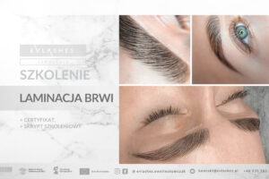 Kurs laminacji brwi z farbowaniem, geometria, farbki, Torun, kujawsko-pomorskie, Evlashes