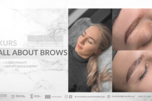 Kurs all about brows, henna pudrowa, farbki, geometria, farbki, Torun, kujawsko-pomorskie, Evlashes